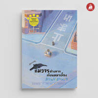 Read me more หนังสือ จริง ๆ แล้วแมวจรต่างหากเก็บผมมาเลี้ยง