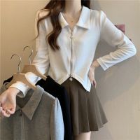 Polo Lapel Shoulder Base Shirt Womens Spring 2023New Western Style Inner Wear T-Shirt Irregular Short Top