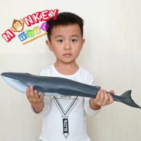 Monkey Toys - โมเดลสัตว์ Blue Whale ปลาวาฬ สีน้ำเงิน ขนาด 41.00 CM แบบนิ่ม (จากหาดใหญ่)