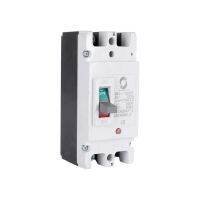 CE Worldsunlight XM1-125PV 100A 2P DC 550V Moulded Case Circuit Breaker MCCB Electrical Circuitry Parts