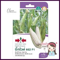 ข้าวโพด F1 บิ๊กไวท์ 852 ศรแดงCORN SEED EAST-WEST SEED BIG WHITE F1 **คุณภาพดี**