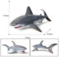 【SALE】 tangticarans1972 Megalodon โมเดลรูปสัตว์โบราณสำหรับของขวัญวันเกิดเด็กแบบจำลองรูปฉลามของเล่นรูปสัตว์ทะเลคลาสสิกสำหรับเด็ก