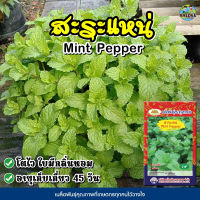 เมล็ดสะระแหน่ ตราภูเขาทอง Mint Pepper ปริมาณ200เมล็ด เมล็ดพันธุ์สะระเเหน่ สะระเเหน่ เมล็ดผักสวนครัว เมล็ดพันธุ์ผัก