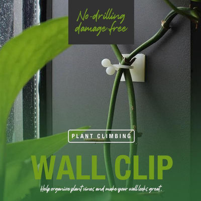 10Pcs/set Artifact Plant Climbing Hook Fixed Paste Trace Wall Button Nail-free Long Clip Climbing Plant