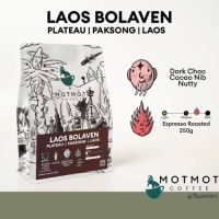 Laos Bolaven Plateau Paksong Grade Premium (Washed) | เมล็ดกาแฟคั่ว MOTMOT COFFEE