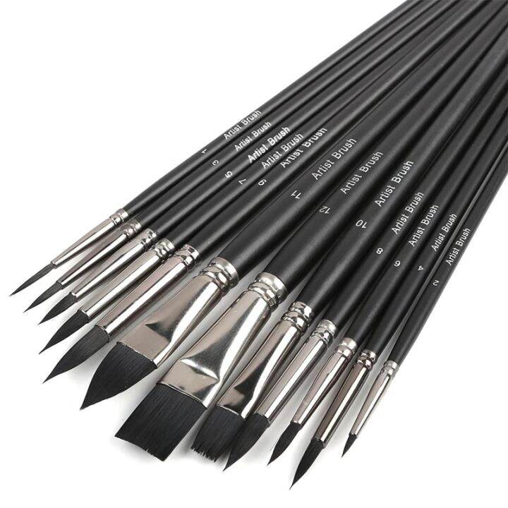 （2024）Dainayw Artist Paint Brush Set of 12 Art Brushes for Watercolor Acrylic Gouache Canvas Oil