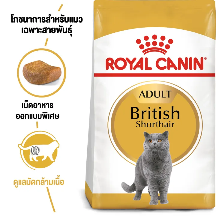 หมดอายุ11-2024-royal-canin-british-shorthair-adult-2-kg-อาหารสำหรับแมวโตพันธุ์บริทิชช็อตแฮร์