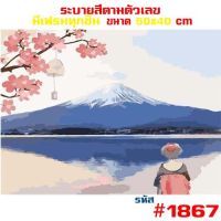 ขายดี? รูปวาด ขึงเฟรมไม้ HOME DIY สินค้าอยู่ไทยพร้อมส่ง ภาพวาดสีน้ำมัน ภาพระบายสีตามตัวเลข ขนาด40X50CM ขึงเฟรมไม้!! JR_GADGET