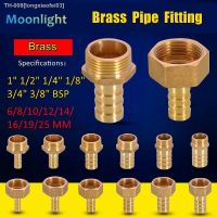 ☞ Brass Hose Fitting 6/8/10/12/14/16/19/25mm Barb Tail 1/8 1/4 3/8 1/2 3/4 1 BSP Male Female Thread Copper Connector Coupler