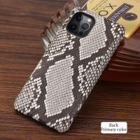 Genuine Python Leather Phone Case For iPhone 13 Pro Max 12 Mini 11 12 Pro Max X XS max XR 6 6s 7 8 Plus SE  snakeskin Cover