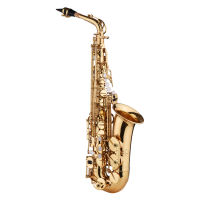 [ammoon]Saxophone Sax Eb Be Alto E Flat Brass Carved Pattern on Surface Plastic Mouthpiece Exquisite with Gloves Cleaning Cloth Brush Straps