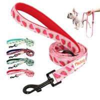 150cm Nylon Dog Leash Printed French Bulldog Lead Leash Small Medium Dogs Cats Leash For Chihuahua Puppy Walking