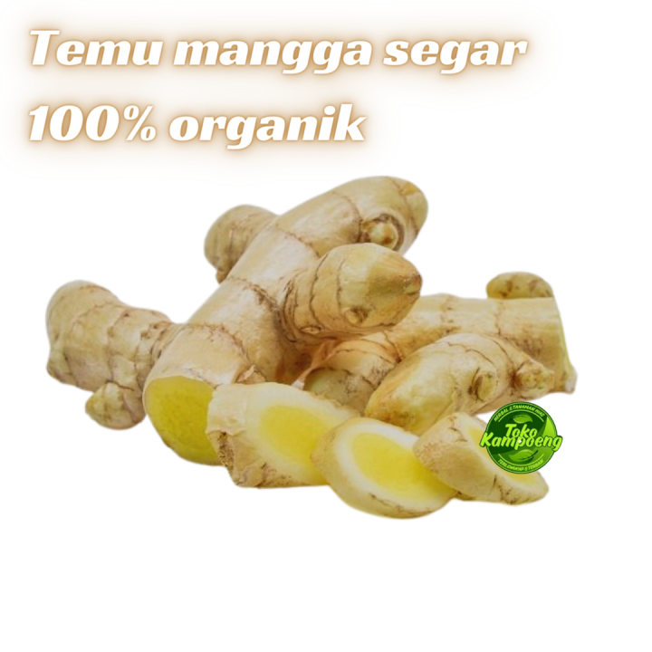 Temu Mangga Segar 1kg Kunyit Mangga Organik Lazada Indonesia 6574