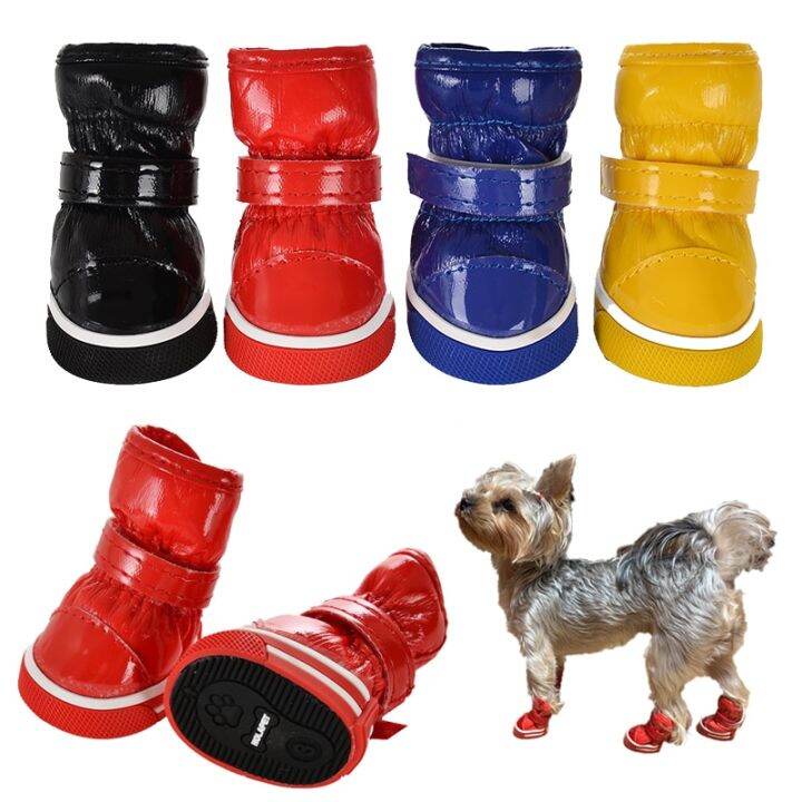 Yorkie on sale rain boots