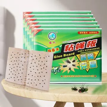 OEM Sticky Fly Glue Board Sticker Paper Trap for Indoor Use - China Fly Trap  and Fly Catcher price