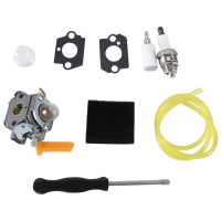 Carburetor Assembly Metal As Shown C1U-H60 308054003 3074504 985624001 26CC 30CC Carburetor