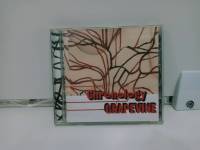 1 CD MUSIC ซีดีเพลงสากล GRAPEVINE/Chronology-a young persons guide to Grapevine-  (C7A11)