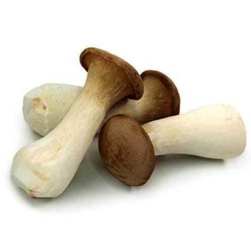 King Oyster Mushroom (200g) | Lazada PH