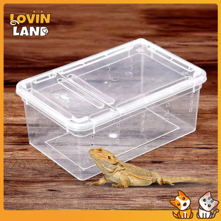 Lovinland Silkworm Feeding Box Tarantula enclosure Feeding Box Reptile ...