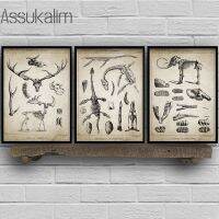 【hot】✱  Posters Prints Bighorn Wall Pictures Elephant Biology