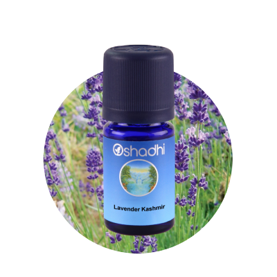 Oshadhi Lavender Kashmir Essential Oil น้ำมันหอมระเหย (10 ml)