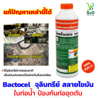 Bactocel ย่อยสลายไขมันในท่อน้ำ ป้องกันท่ออุดตัน ในบ่อดัก ท่อระบายน้ำ จุลินทรีย์ ขจัดคราบไขมัน ดับกลิ่นเหม็นใน ซิงค์ อ่างล้างจาน