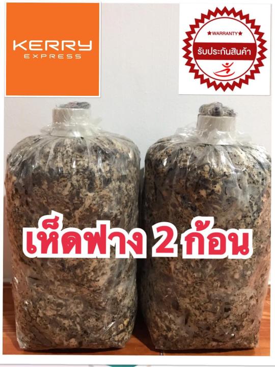 เชื้อเห็ดฟาง 2 ก้อน (แถมฟรีคู่มือการเพาะ) เห็ดออกดอกทันทีภายใน 5วัน)