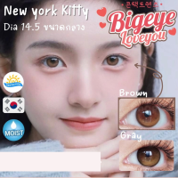 คอนแทคเลนส์ New York Brown/Gray (Kitty Kawaii) ขนาดกลาง ? ลายฮิต นำเข้าจากเกาหลี ??