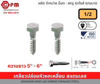 เกลียวปล่อยขันไม้ เกลียวปล่อยหัวหกเหลียม สแตนเลส ขนาด1/2 (5-6)  [HEXAGON HEAD LAG SCEWS STAINLESS STEEL]