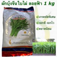 เมล็ดผักบุ้งจีน ใบไผ่ ลอยฟ้า คัดพิเศษ ตราสามเหลี่ยมทองคำ 1 kg