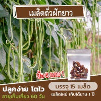 เมล็ดพันธุ์ถั่วฝักยาว 15 เมล็ด แบ่งขาย (ซื้อ 5 แถม 1)