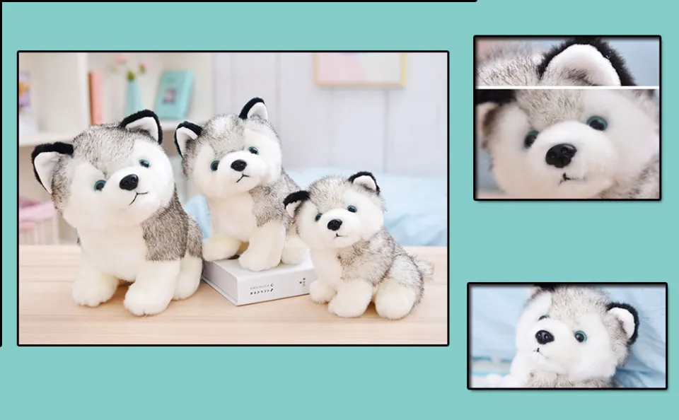 10 Husky Dogs Plush Husky Wolf Stuffed Animal Toys Puppy Doll Simulation  Dog Ornaments Soft Cuddle Adorable Gifts for Girls Boys Toddlers on  Birthday