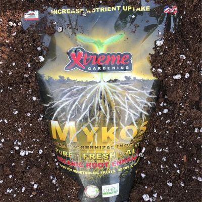 [พร้อมส่ง]!!!ลดผงเร่งราก Mykos Xtreme Gardening (แบ่งขาย 15 กรัม) ผง เร่งราก ระเบิดราก ของแท้ USA 100% เร่งโต บอนไซ แคคตัส สมุนไพร 420[สินค้าใหม่]