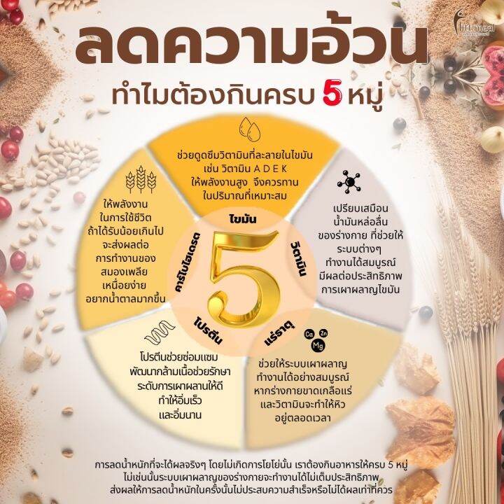 โปรตีน-ฟิตมิล-fitt-meal-by-ฟิตต์-มีล-บาย-ผลิตภัณฑ์ทดแทนมื้ออาหาร-โปรตีน