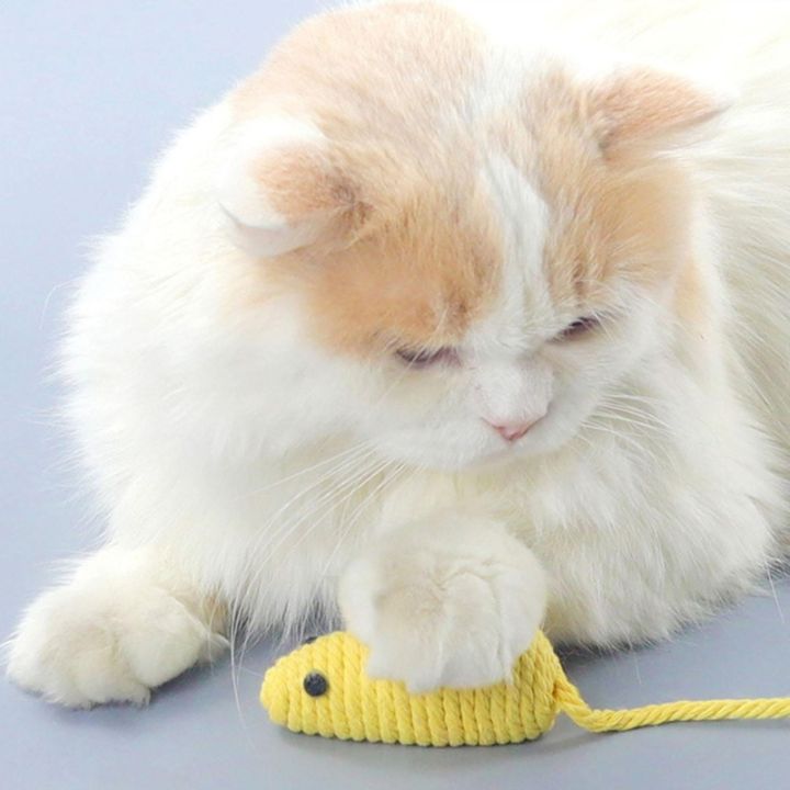 โลกผลิตภัณฑ์สัตว์เลี้ยงชั้น-ลูกแมวของเล่นสัตว์ในร่มที่ใช้งานเพื่อสุขภาพของเล่นล่าสัตว์หนูของเล่นขี้เล่น