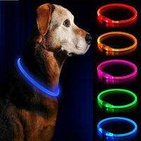 ℗ Led Usb Chargeable Dog Collar Pet Night Luminous Charge Safety for Anti Flea Collar And Ticks Dogs Harness For Dog