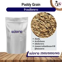 ข้าวเปลือกยาว Paddy rice อาหารนก กระต่าย หนู กระต่าย กระรอก ชูก้า และสัตว์ฟันแทะ (แบ่งขาย 500G / 1KG)