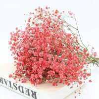 Gypsophila ดอกไม้แห้งการตกแต่งงานปาร์ตี้ภายในบ้านโรแมนติกเก๋แต่งงาน DIY พวงมาลัย Babys ลมหายใจอุปกรณ์ประดิษฐ์พืชตกแต่ง