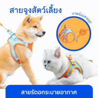 【Longlong】สายจูงหมา ปลอกคอแมว สุนัขขนาดเล็กแมวสะท้อนแสงสายรัดสัตว์เลี้ยงและสายจูงชุดปรับระบายอากาศไ  สายจูงน่ารัก