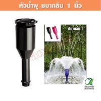 SB, Fountain Head SB หัวน้ำพุ ชบากลีบ 1นิ้ว