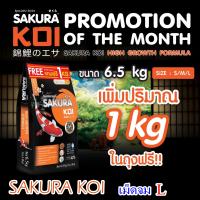 เม็ด L ( ชนิดเม็ดจม) อาหารปลาคาร์ฟ สูตรเร่งโต SAKURA KOI HIGH GROWTH FORMULA (Sinking)  ขนาด 6.5 กก.แถมฟรี 1 กก. ในถุง