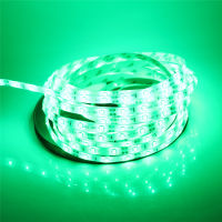 DIY LED Strip light DC12V 1 m 2 m 3 m 4 m 5 m 3528 SMD LED เทปโคมไฟสีขาว/อบอุ่นสีขาว/สีแดง/สีเขียว/สีฟ้า/สีเหลือง/RGB-asferttyre