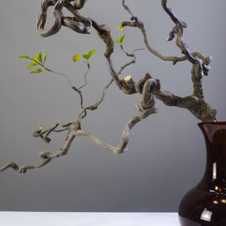natural-dried-curved-branches-table-floral-decoration