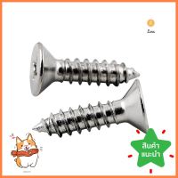 สกรูเกลียวปล่อย TF DEXZON 10X3/4 นิ้ว 25 ตัวSELF-TAPPING SCREWS TF DEXZON 10X3/4IN 25EA **ราคาดีที่สุด**