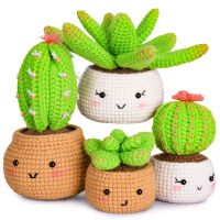 Beginner Crochet Kit, Learn Crochet Kit As Shown Acrylic Cactus Ornamental Plant Pot for Adults and Kids