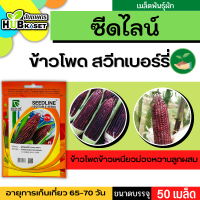 ซีดไลน์ ?? ข้าวโพดข้าวเหนียวม่วงหวานลูกผสม สวีทเบอร์รี่ ขนาดบรรจุประมาณ 50 เมล็ด อายุเก็บเกี่ยว 65-70 วัน