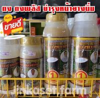 ยาทาหน้ายา ตงตง พลัส   สูตร หน้ายาง เปลือกนิ่ม   น้ำใส น้ำทอง