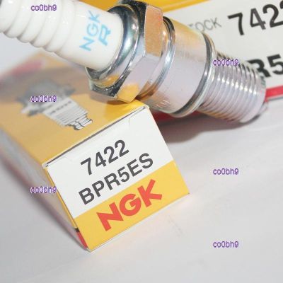 co0bh9 2023 High Quality 1pcs NGK spark plug BPR5ES with lawn mowing grass generator GXV160 GX120 GX200 168