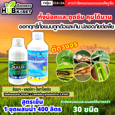 ชุดตัดวงจร อินเมจ+แลมป์ดา ตราไก่เกษตร 500ซีซี+1ลิตร (อินดอกซาคาร์บ+แลมป์ดา-ไซฮาโลทริน) ทั้งน็อคและดูดซึม คุมได้นาน