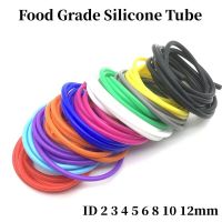 1Meter ID 2 3 4 5 6 7 8 9 10 12 mm Silicone Tubing Flexible Rubber Hose Food Grade Soft Drink Pipe Water Connector Colorful Hose